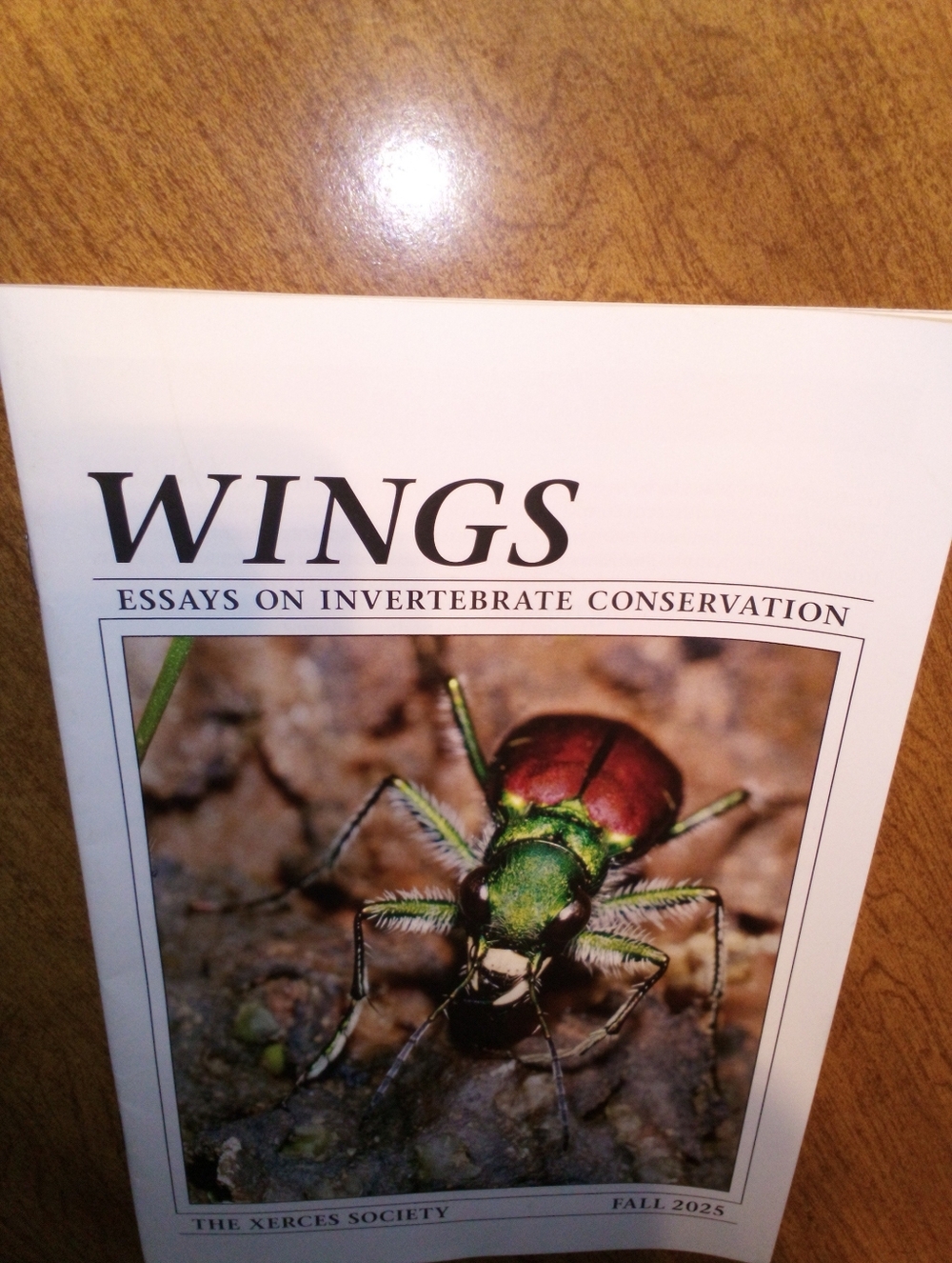 Wings Essays On Invertebrate Conservation Fall 2025 Vol 48 #2 Xerces Soc Booklet